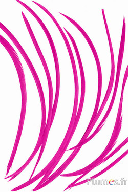 Gans - 10-17 cm - fuchsia
